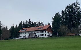 Grüntenblick